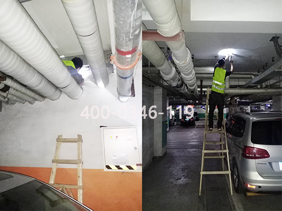 �����������B�o